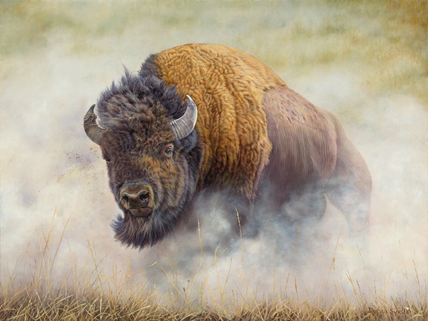 "Thunderbeast" - 30"x 37" Oil on Linen- Bison-  Prints Available