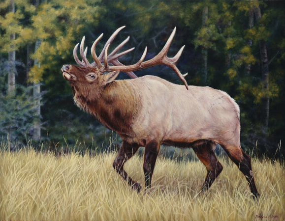 "Ready For The Challenge" -  Winner of the "Rocky Mountain Elk Foundation Featured Artist" for 2018 