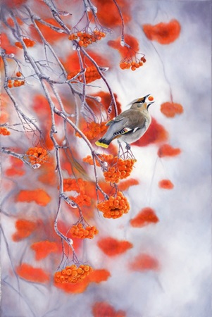 "The Good Life" - 20"x 30" Oil on Linen- Bohemian Waxwing Bird- Prints Available