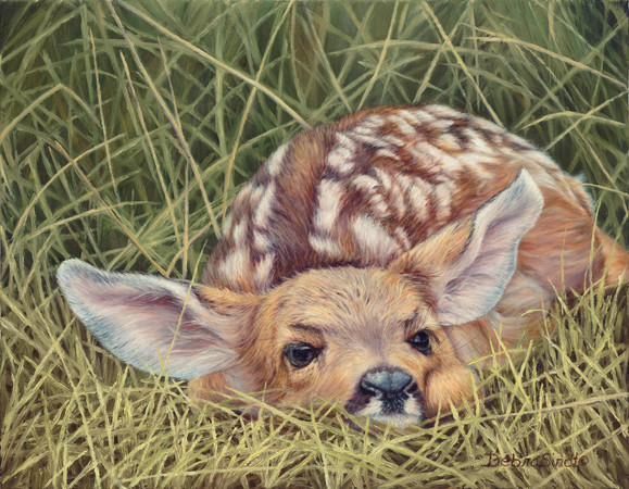 "A New Life Begins" - 14"x 18" Oil on Linen- Fawn- Prints Available