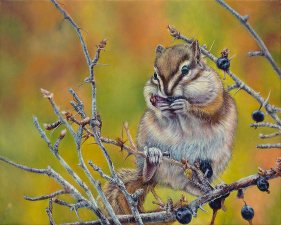 "Tiny Treasures" - 14"x 18" Oil on Linen- Chipmunk- Prints Available