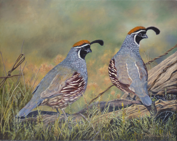 "Prairie Scouts" - 14"x 18" Oil on Linen- Prints Available