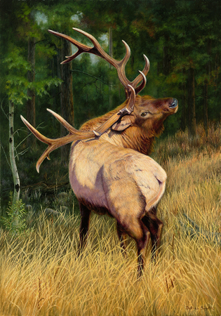 "In The Presence of Royalty" Winner of the 2016 Rocky Mountain Elk Foundation Premier Art Program Honorable Mention - 28"x 40" Oil on Linen- Prints Available